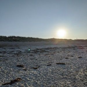 Meet your Posher, Sommer